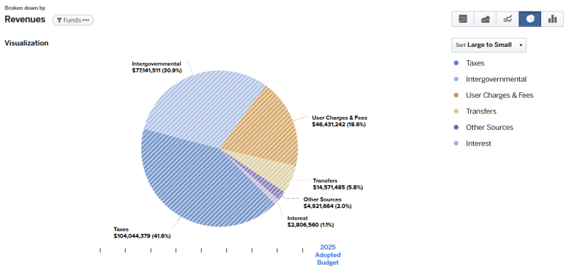 2025 Adopted Budget - Sources of Funds broken down by Revenues graph