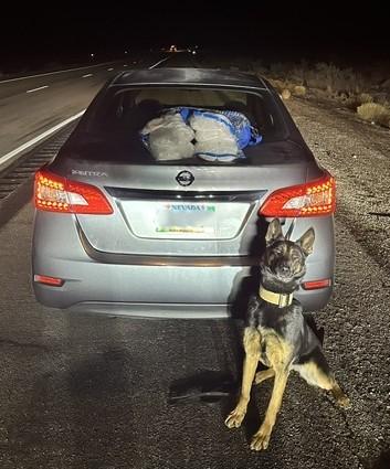 Law enforcement dog next to vehicle with found narcotics.